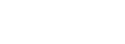 logo_tempur